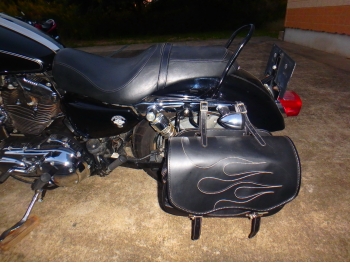     Harley Davidson XL1200C-I Sportster Custom 2010  16