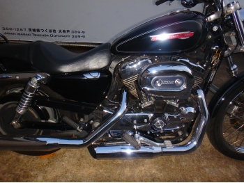     Harley Davidson XL1200C-I Sportster Custom 2010  18