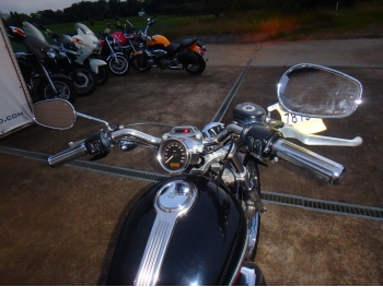     Harley Davidson XL1200C-I Sportster Custom 2010  21