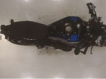     Yamaha XSR900 2019  3