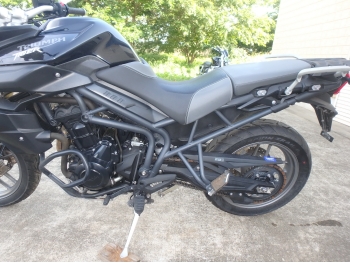     Triumph Tiger800 2012  15