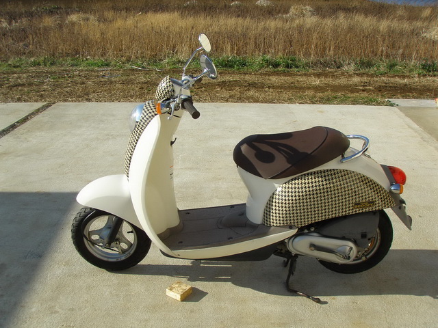 Honda crea Scoopy Ruckus