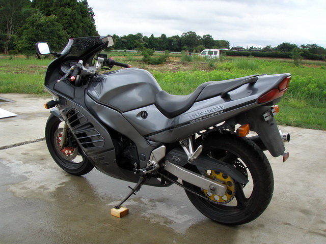 Suzuki RF 1000